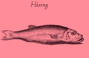 red herring