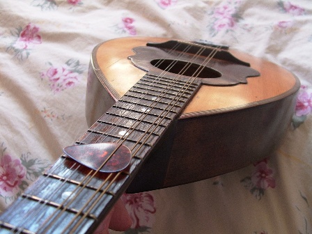 squarepants2004/auntyhuia, flickr creative commons