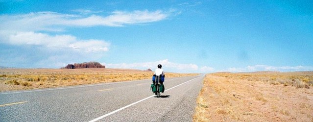 Pellaea, Flickr Creative Commons