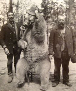 Hugh Mangum / Public Domain / Wikimedia Commons