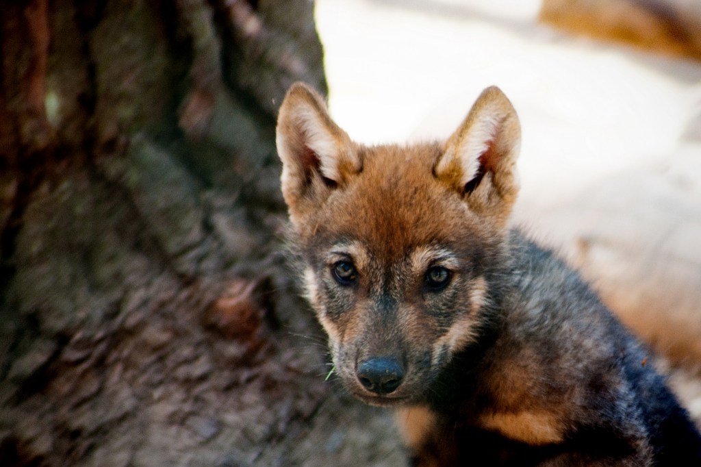 louise.helen, Flickr Creative Commons