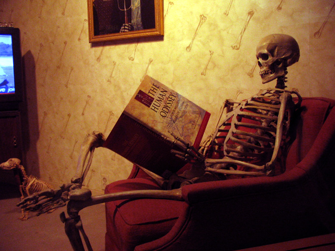 Leted, Flickr Creative Commons 