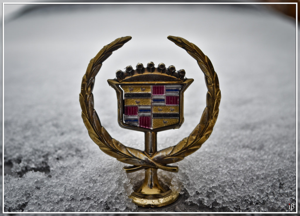 Ibrahim Balushi, Flickr Creative Commons